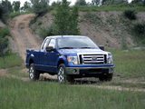 Photos of Ford F-150 XLT 2008–11