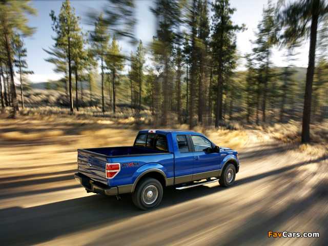 Photos of Ford F-150 FX4 2008–11 (640 x 480)