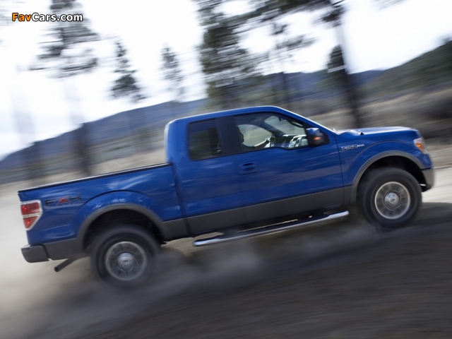 Photos of Ford F-150 FX4 2008–11 (640 x 480)