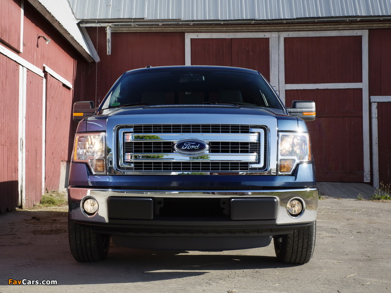 Photos of Ford F-150 XLT 2012 (800 x 600)