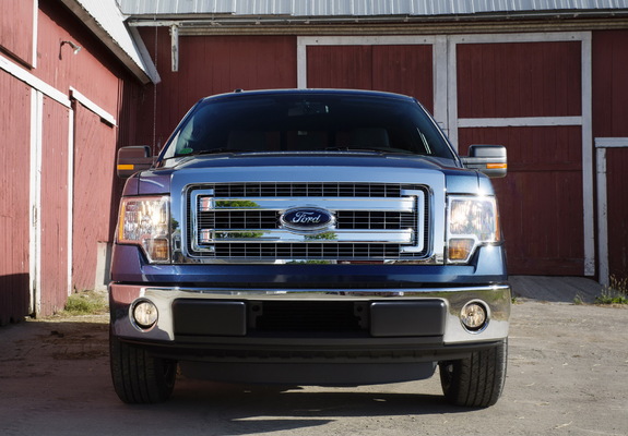 Photos of Ford F-150 XLT 2012