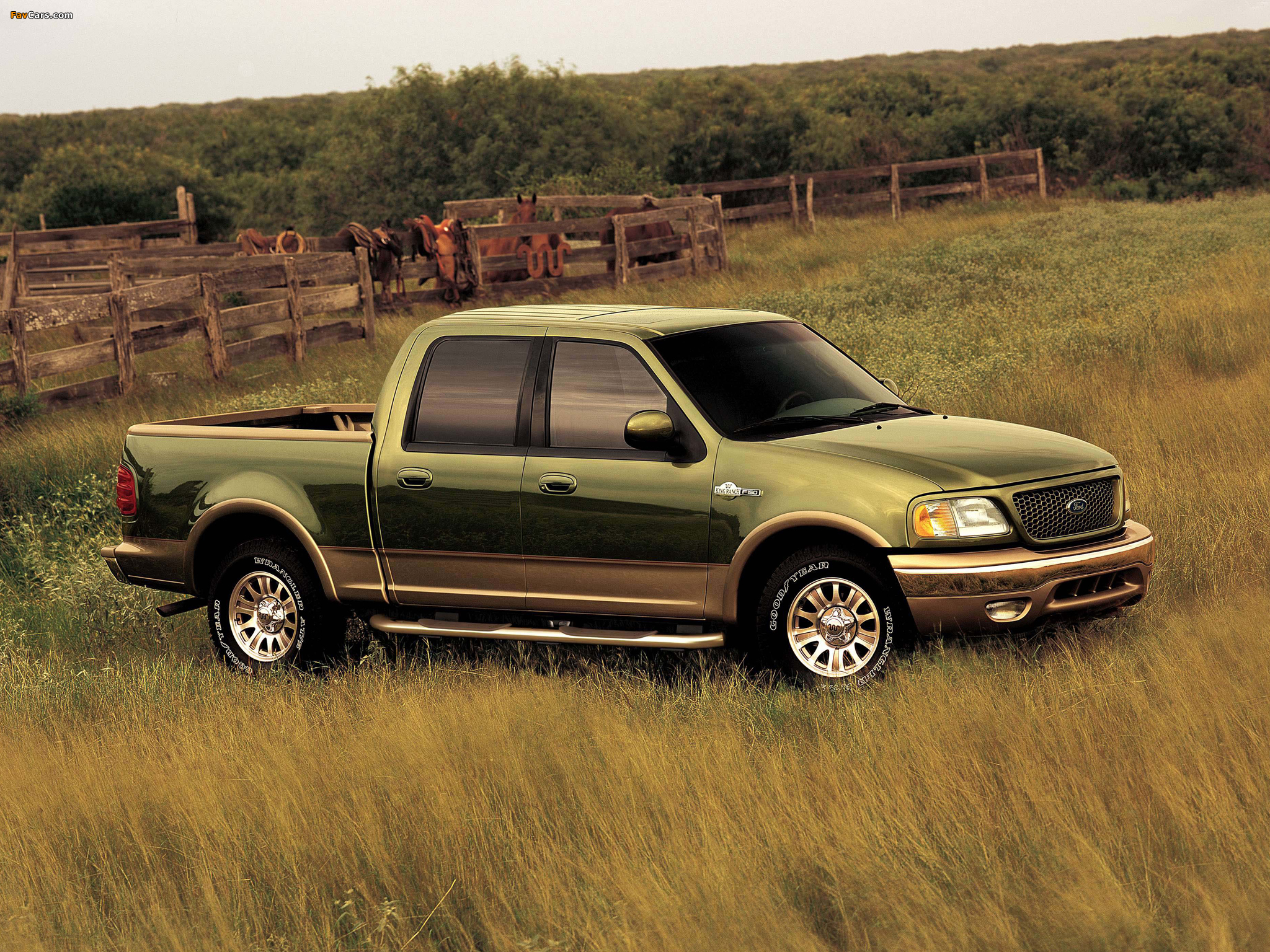 Pictures of Ford F-150 King Ranch 2001–03 (2048 x 1536)
