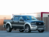 Pictures of Xenon Ford F-150 SuperCrew 2004–08