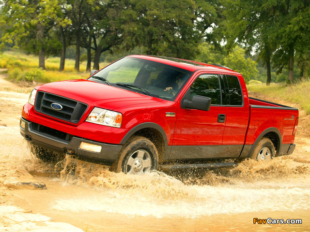 Pictures of Ford F-150 FX4 2004–05 (640 x 480)