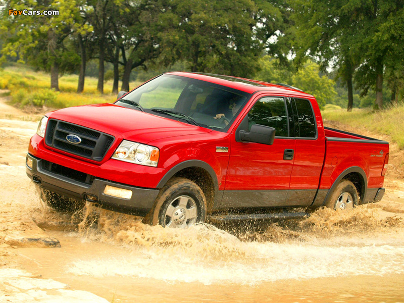 Pictures of Ford F-150 FX4 2004–05 (800 x 600)