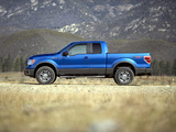 Pictures of Ford F-150 FX4 2008–11