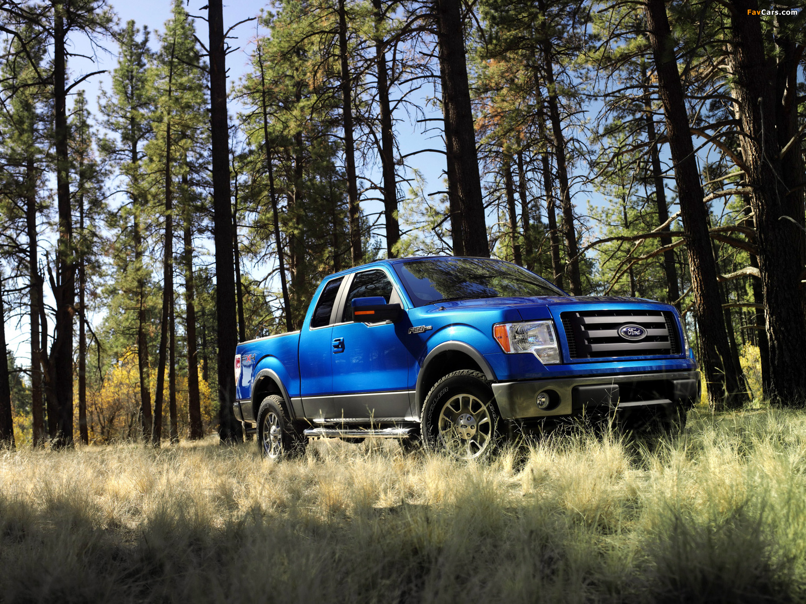 Pictures of Ford F-150 FX4 2008–11 (1600 x 1200)