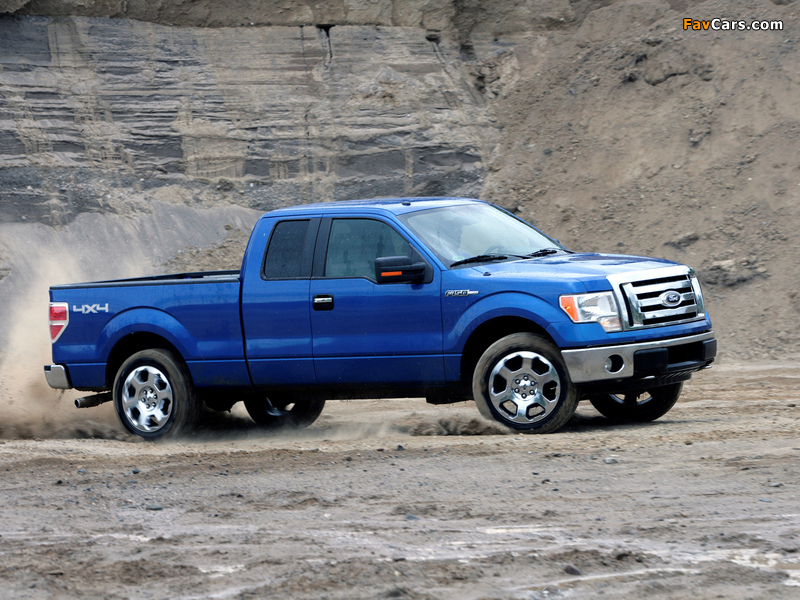 Pictures of Ford F-150 XLT 2008–11 (800 x 600)
