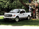 Pictures of Ford F-150 XLT 2011–12