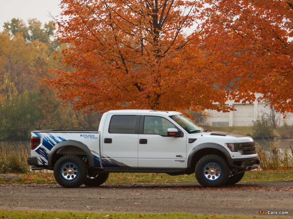 Pictures of Roush F-150 SVT Raptor 2013 (1024 x 768)