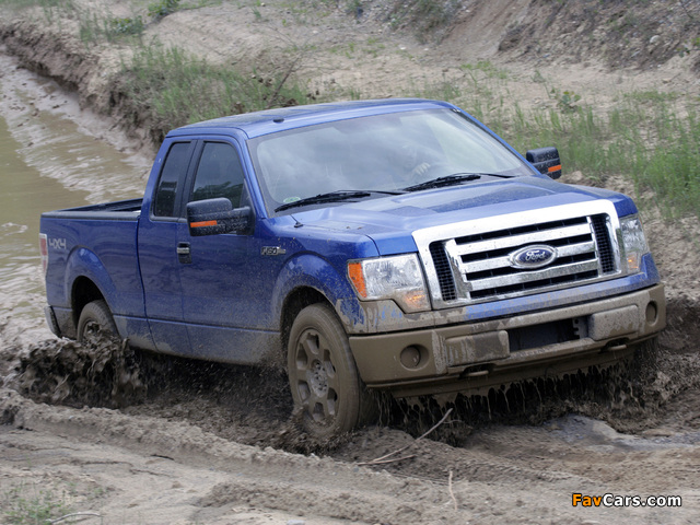 Ford F-150 XLT 2008–11 wallpapers (640 x 480)
