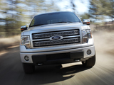 Ford F-150 Platinum 2008–11 wallpapers