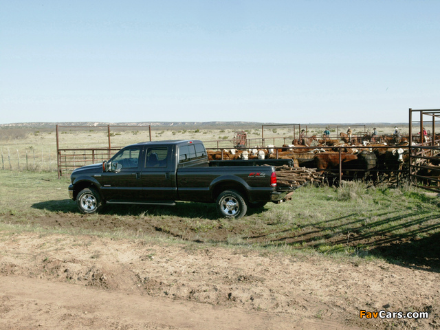 Pictures of Ford F-250 FX4 2005–07 (640 x 480)