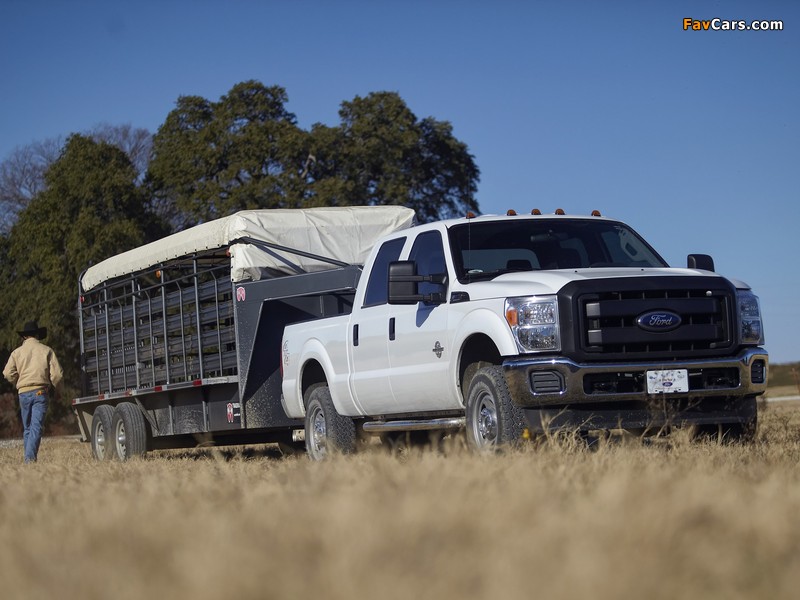 Images of Ford F-350 Super Duty Crew Cab 2010 (800 x 600)