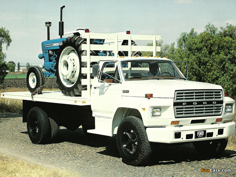 Pictures of Ford F-700 1980–83 (800 x 600)