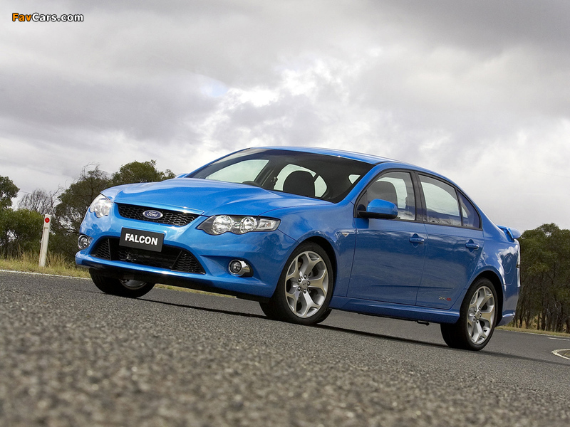 Ford Falcon XR8 (FG) 2008–11 wallpapers (800 x 600)
