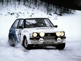 Ford Fiesta XR2 Rally pictures