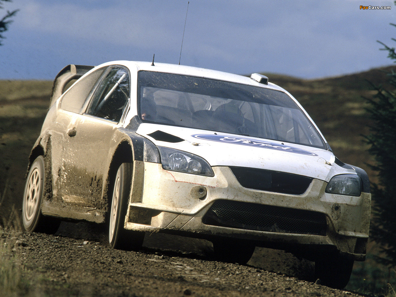Ford Focus RS WRC 2005–07 pictures (1280 x 960)