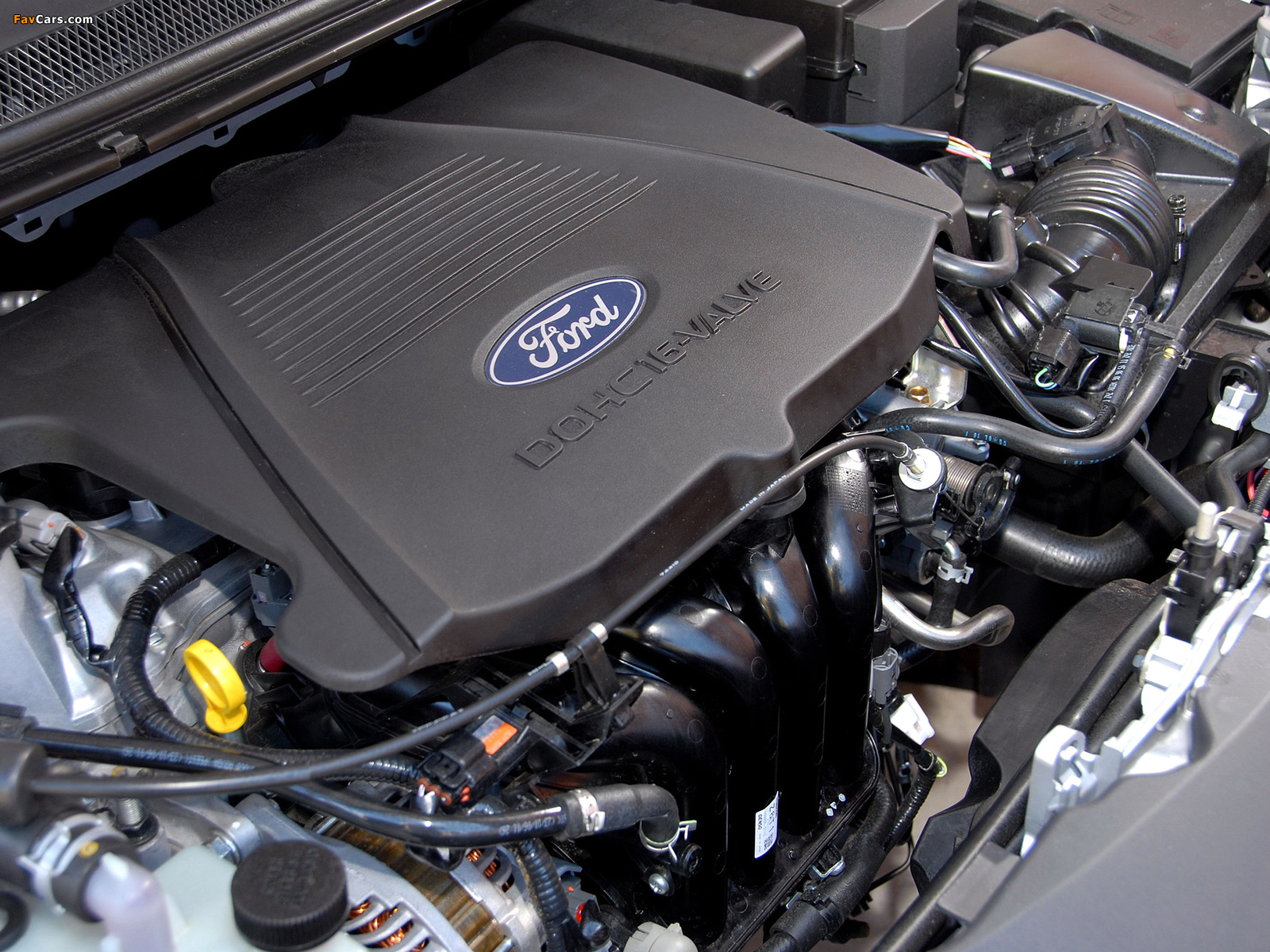Ford Focus 5-door ZA-spec 2007–08 pictures (1600 x 1200)