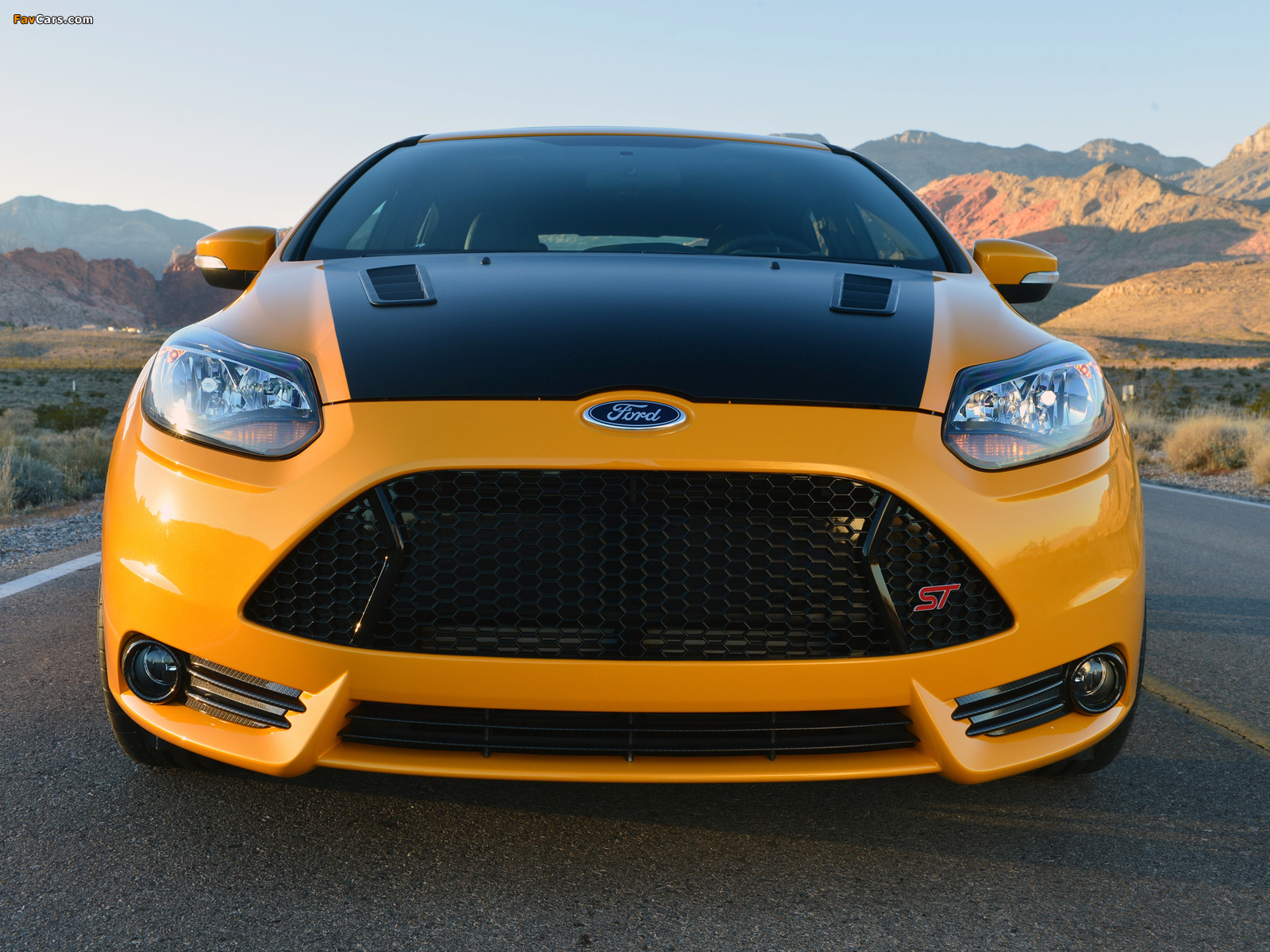 Shelby Focus ST 2013 images (1600 x 1200)
