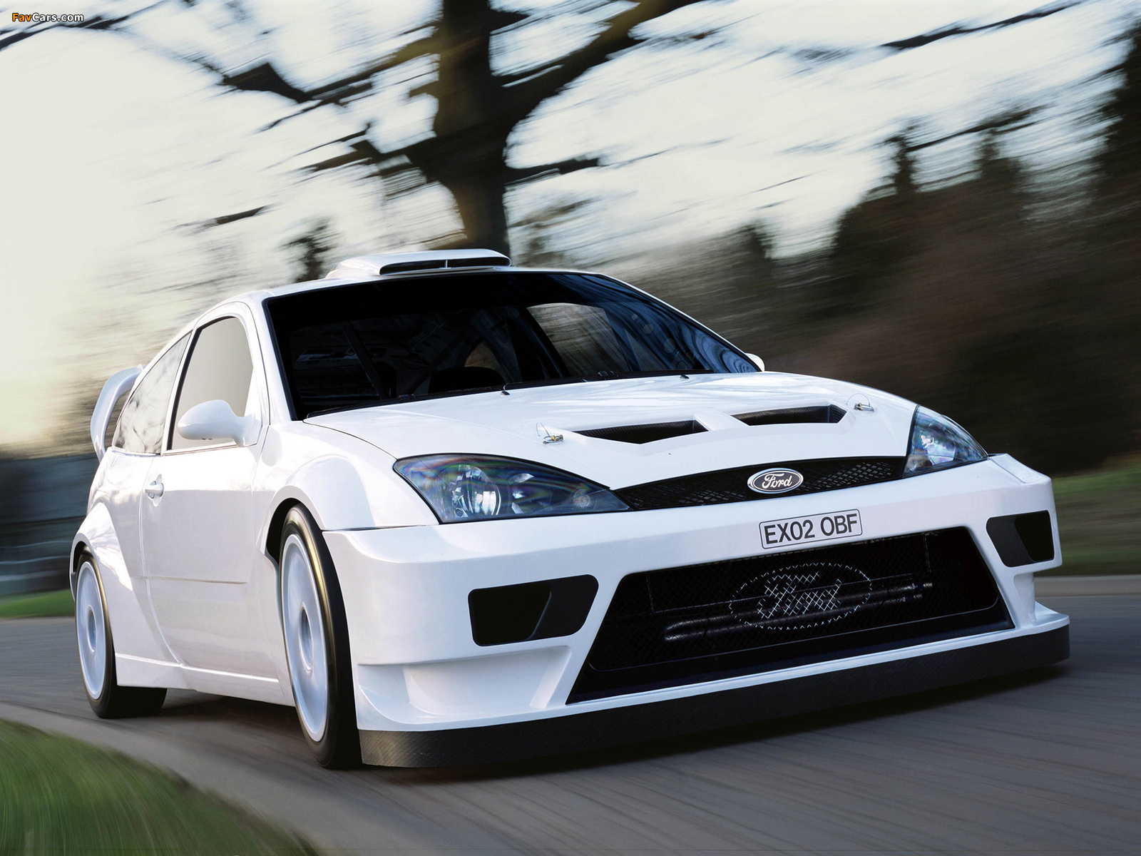 Ford Focus RS WRC 2003–04 wallpapers (1600 x 1200)