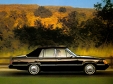 Photos of Ford LTD 1985–86