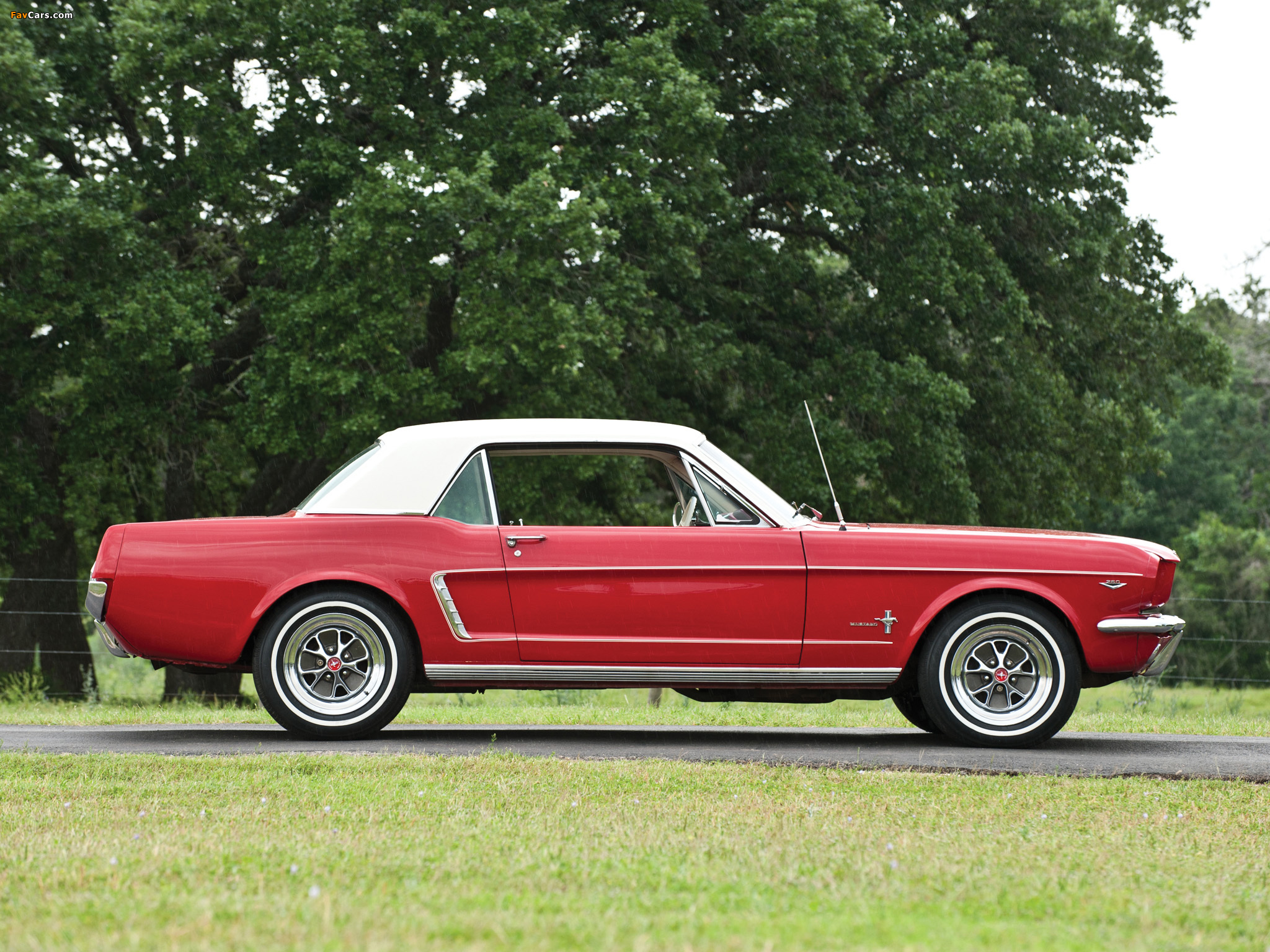 Mustang 260 Coupe 1964 photos (2048 x 1536)