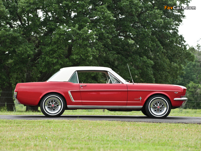 Mustang 260 Coupe 1964 photos (640 x 480)