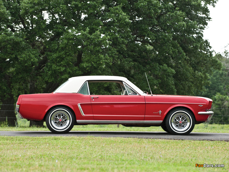 Mustang 260 Coupe 1964 photos (800 x 600)
