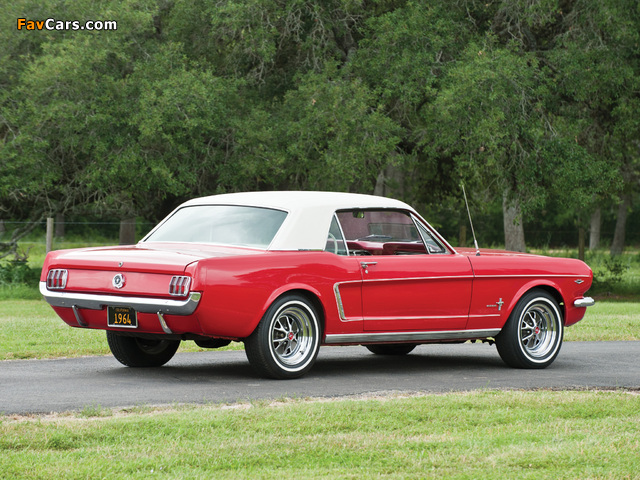 Mustang 260 Coupe 1964 photos (640 x 480)