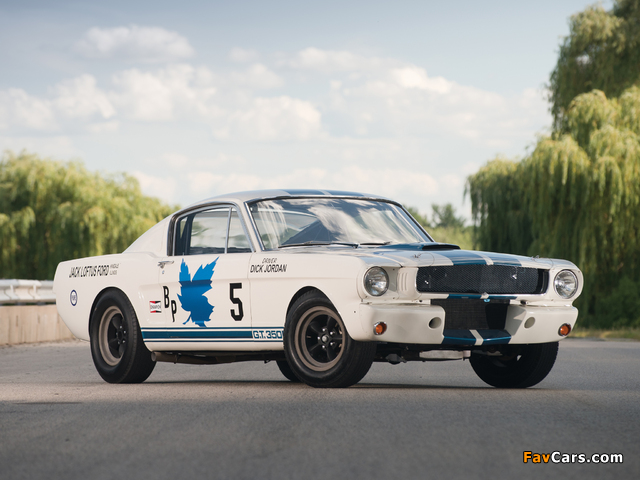 Shelby GT350R 1965 images (640 x 480)