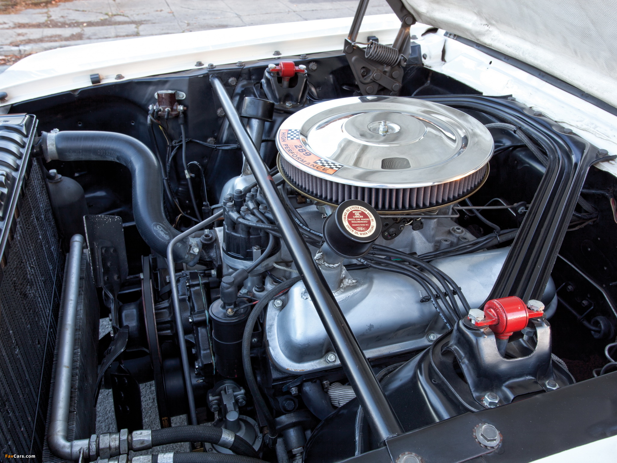 Shelby GT350R 1965 photos (2048 x 1536)