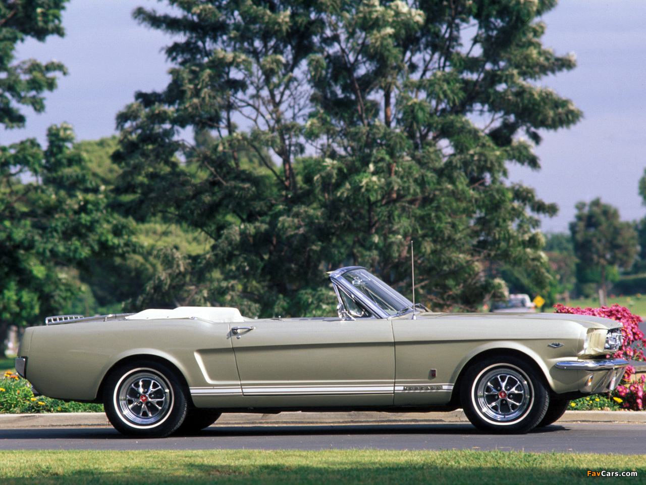 Mustang GT Convertible 1965 photos (1280 x 960)