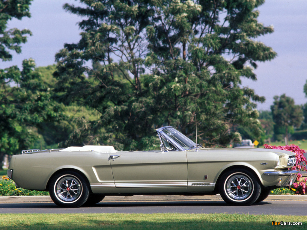 Mustang GT Convertible 1965 photos (1024 x 768)