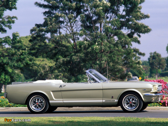 Mustang GT Convertible 1965 photos (640 x 480)