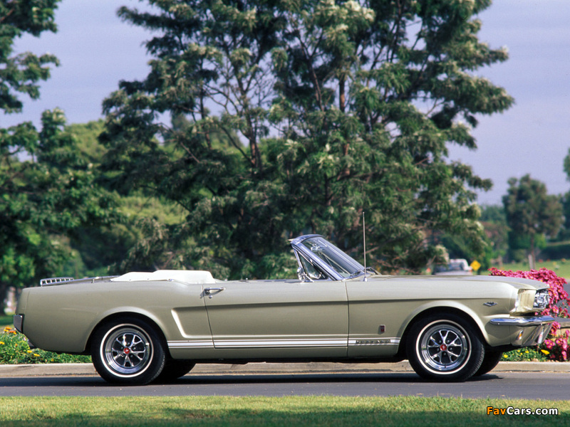 Mustang GT Convertible 1965 photos (800 x 600)