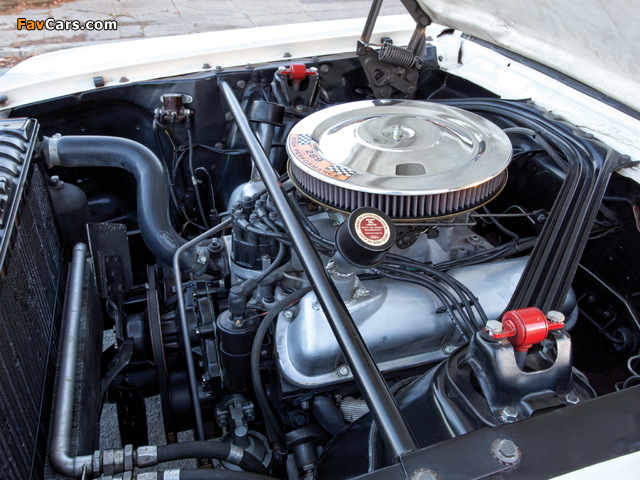 Shelby GT350R 1965 photos (640 x 480)