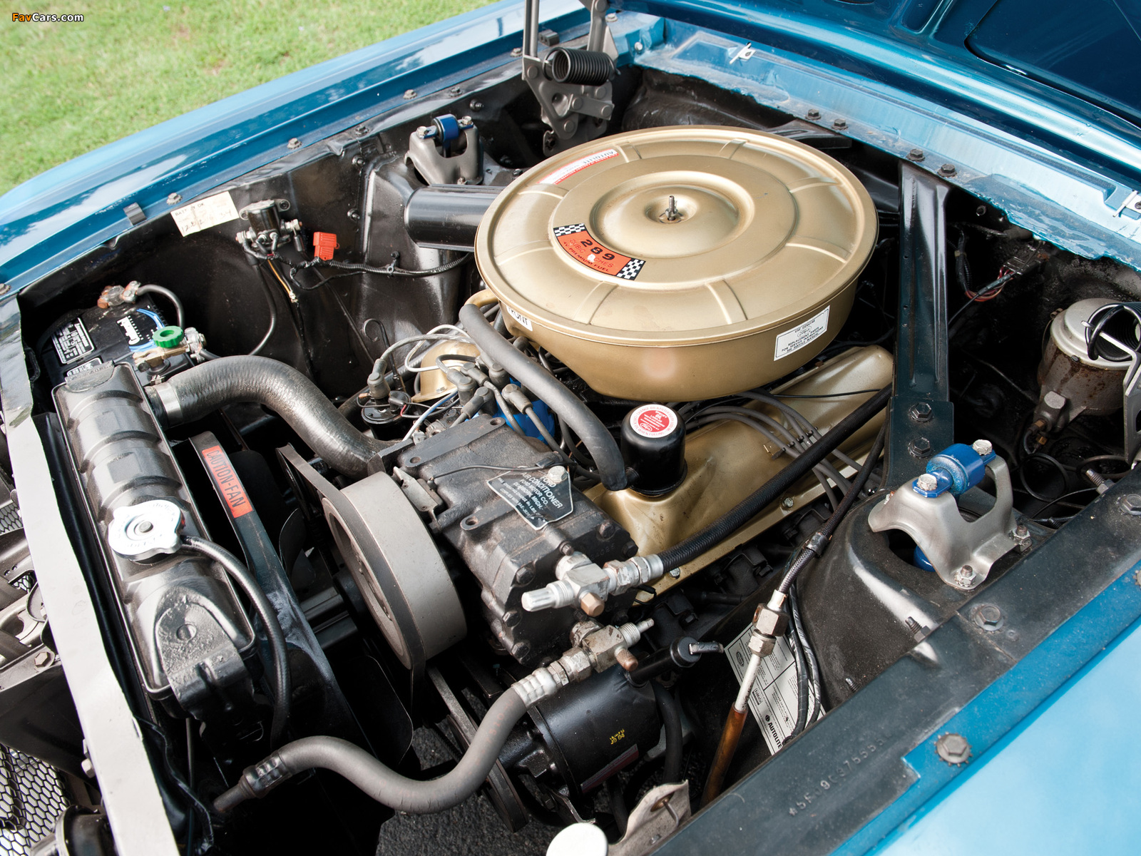 Mustang GT Fastback 1965 photos (1600 x 1200)
