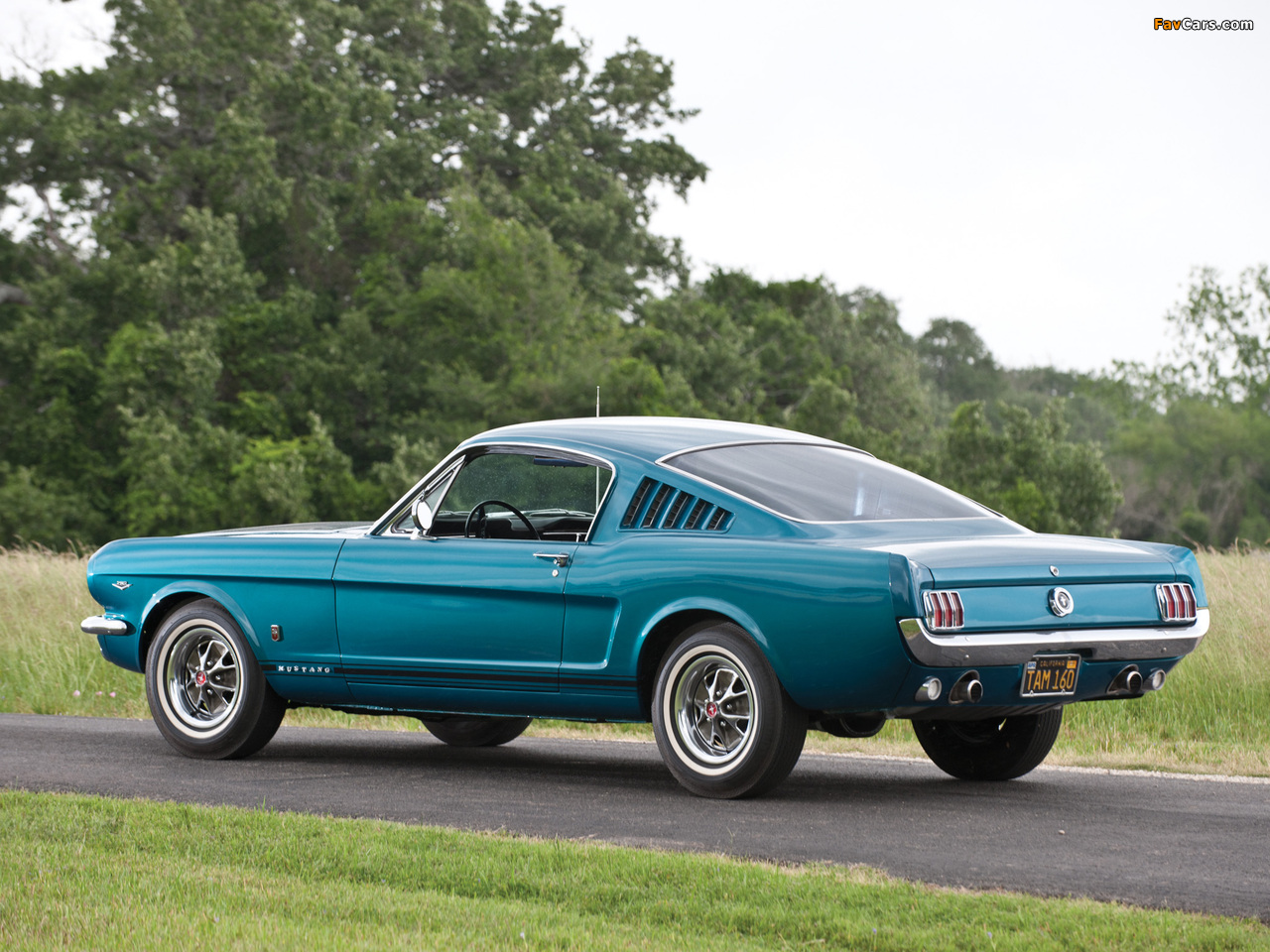 Mustang GT Fastback 1965 photos (1280 x 960)