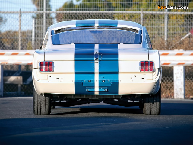Shelby GT350R 1965 pictures (640 x 480)