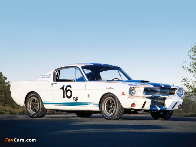 Shelby GT350R 1965 pictures (640 x 480)
