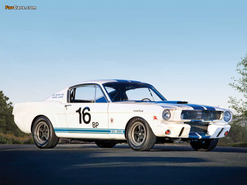 Shelby GT350R 1965 pictures (800 x 600)