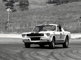 Shelby GT350R 1965 pictures
