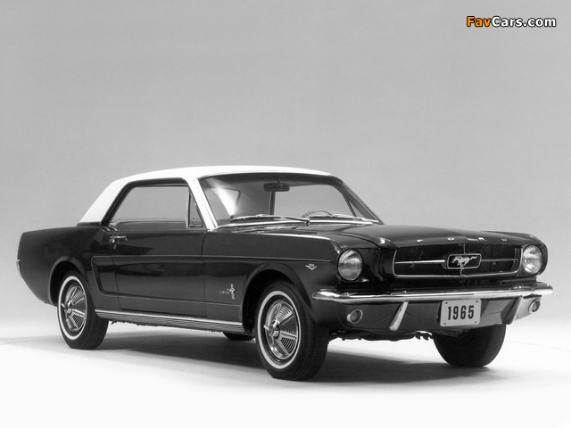 Mustang Coupe 1965 pictures (640 x 480)