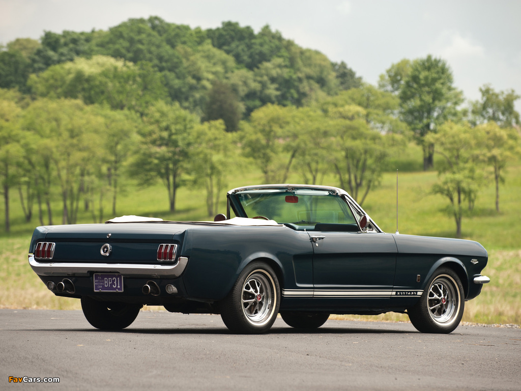Mustang GT Convertible 1965 pictures (1024 x 768)