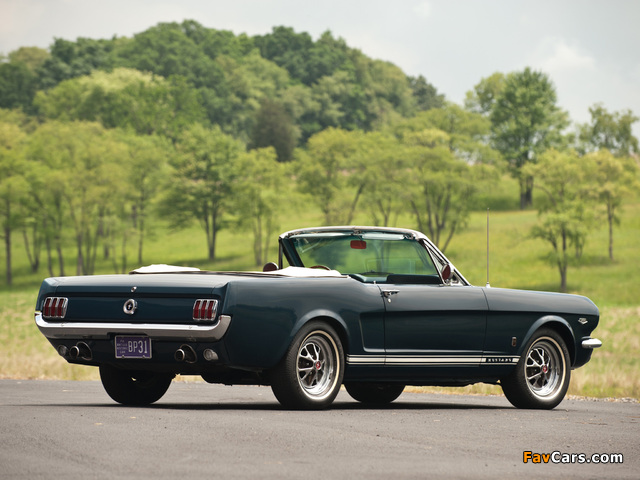Mustang GT Convertible 1965 pictures (640 x 480)