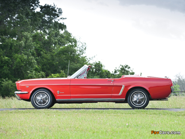Mustang 289 Convertible 1965 pictures (640 x 480)