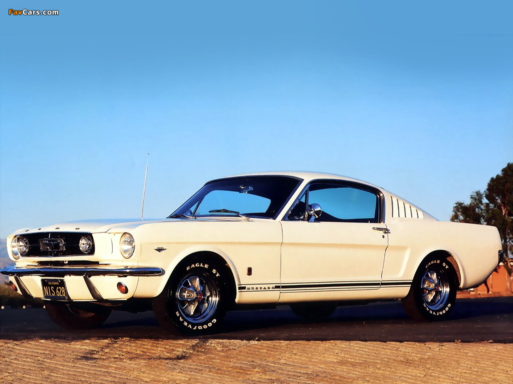Mustang GT Fastback 1965 pictures (1024 x 768)