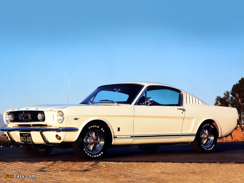 Mustang GT Fastback 1965 pictures (800 x 600)