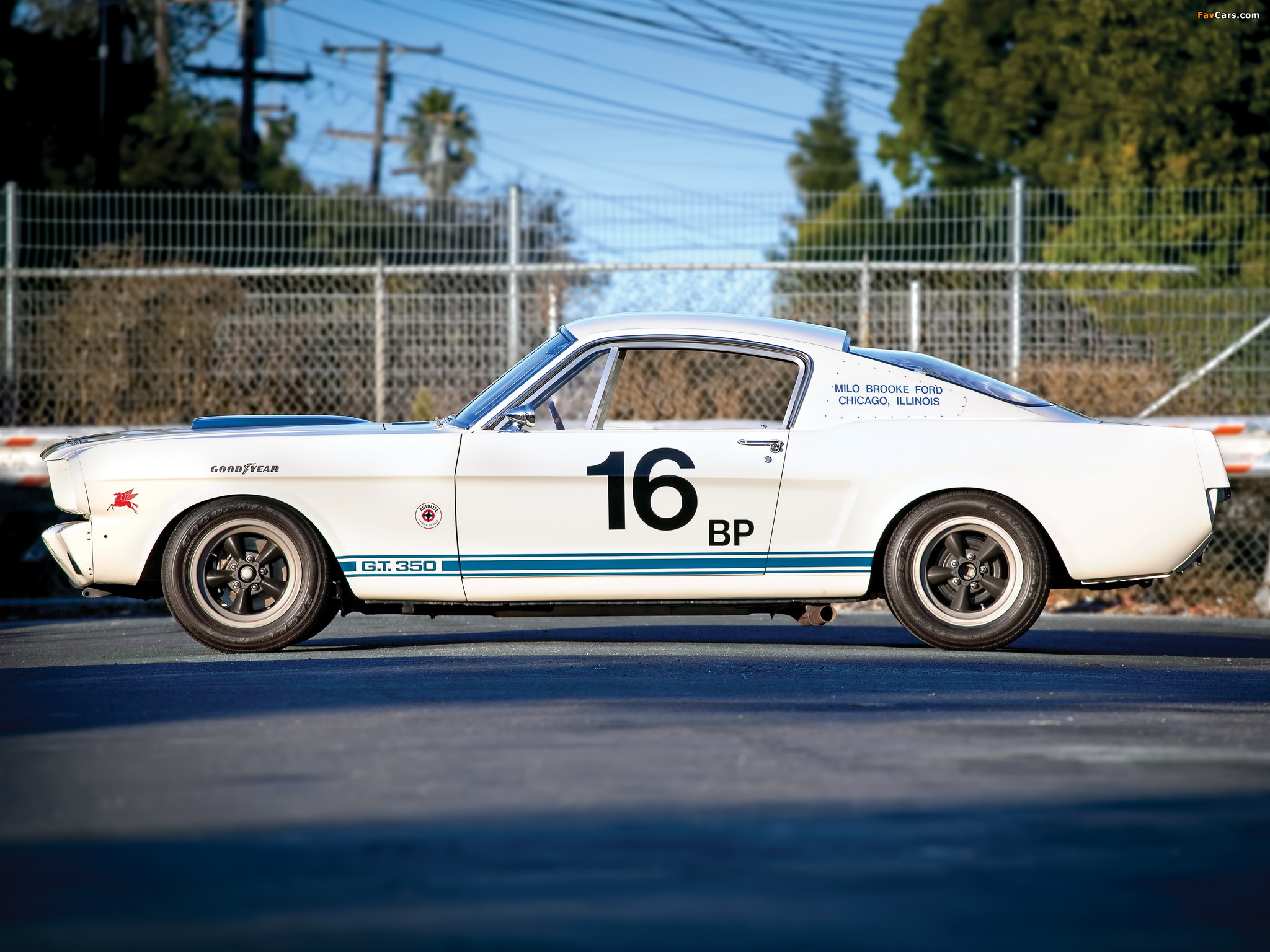 Shelby GT350R 1965 wallpapers (2048 x 1536)